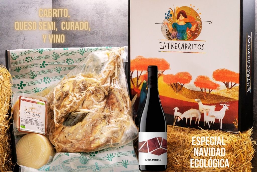 Especial Navidad ECO